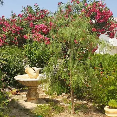 Athina Apartament Laganas